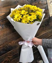Букет цветов из:  Хризантемы #REPLACE_PRED# Чердыни