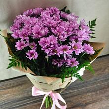 Букет цветов из:  Хризантемы #REPLACE_PRED# Чердыни